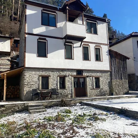 Star Dust * Shiroka Lŭka