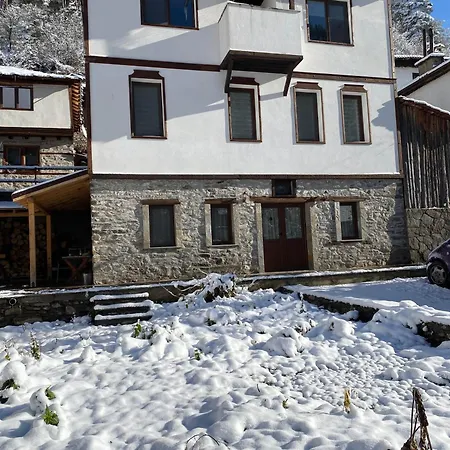 Star Dust Country house