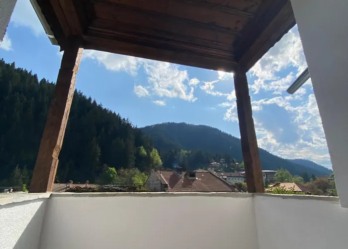 Star Dust Shiroka Lŭka